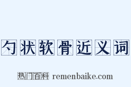 勺状软骨近义词是什么意思的图片